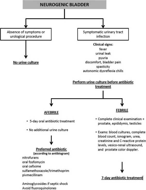 Definition of urinary ionogram