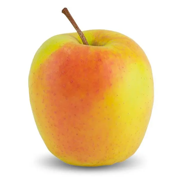 Description of the apple variety Golden