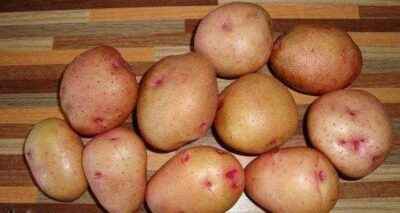 Description of the potato variety Zhukovsky with a photo