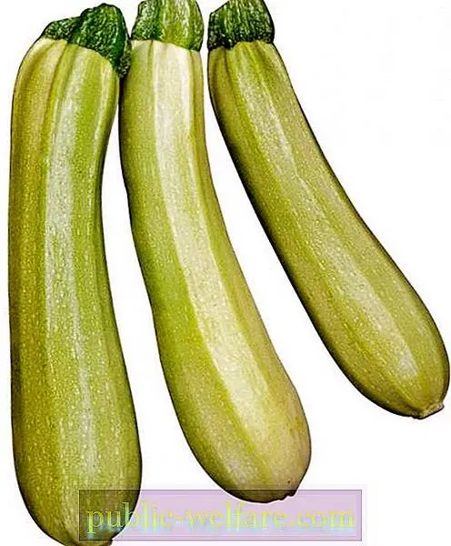 Description of the variety of squash Kavili