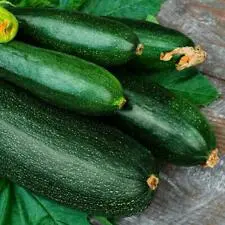 Description of the zucchini variety Iskander