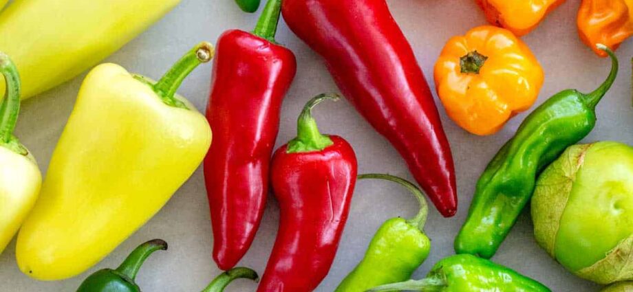 Description of varieties of peppers – Healthy Food Near Me