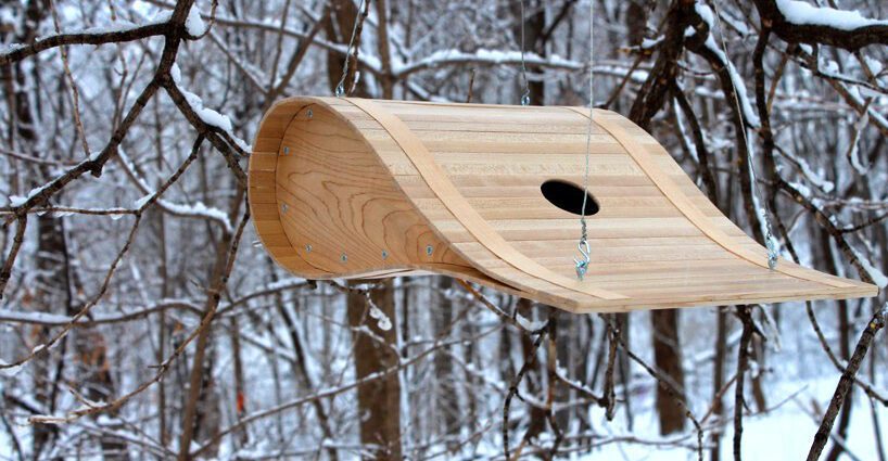 Designer birdhouse: photo