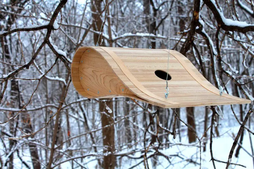 Designer birdhouse: photo