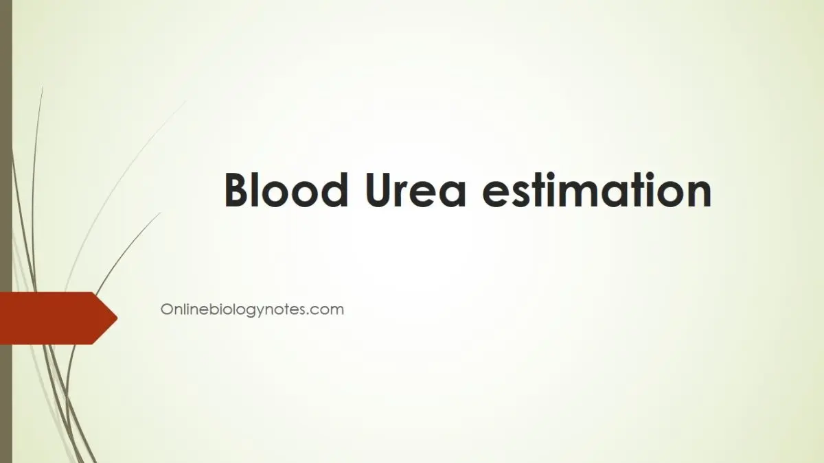 Determination of urea in the blood