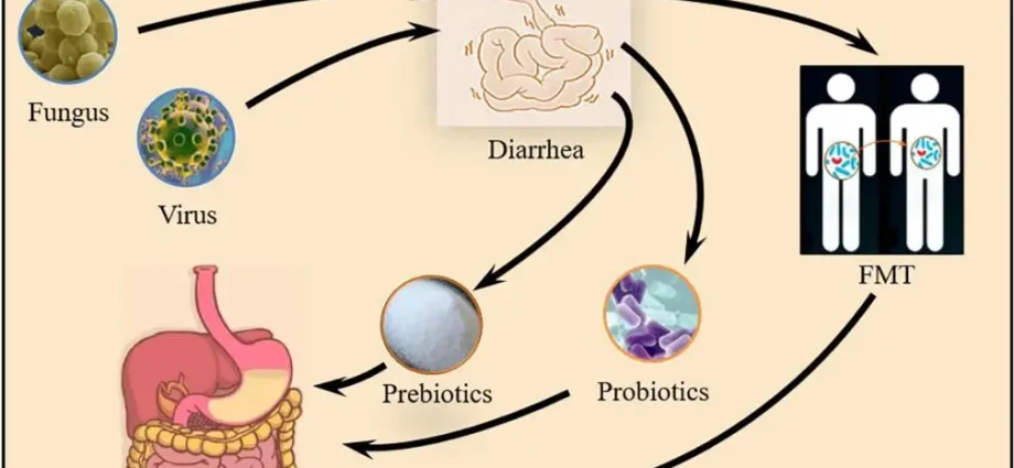 Diarrhea &#8211; Sites of interest