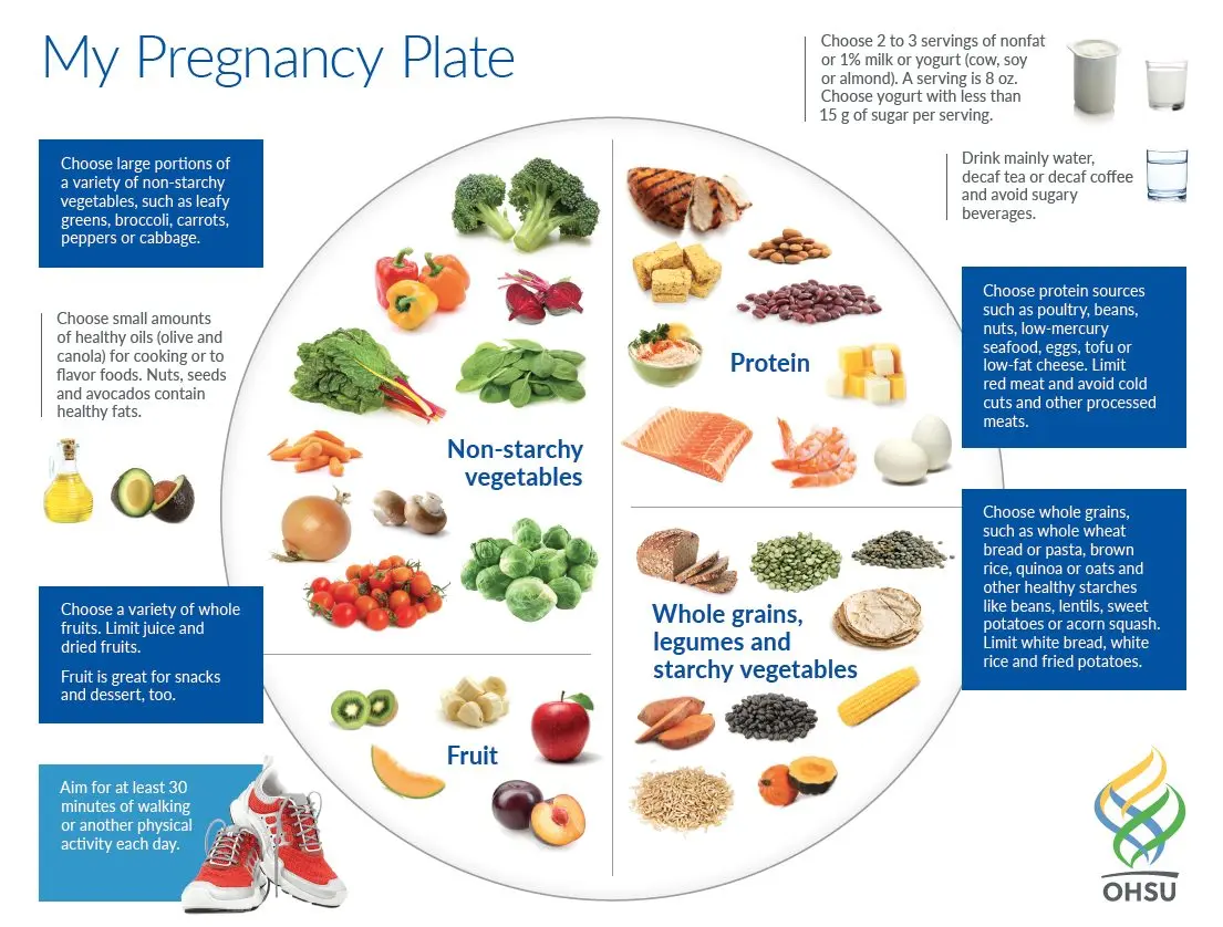 Diet during pregnancy, quarter by quarter