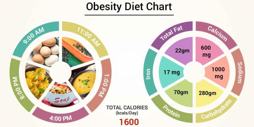 Diet for overweight: basic rules