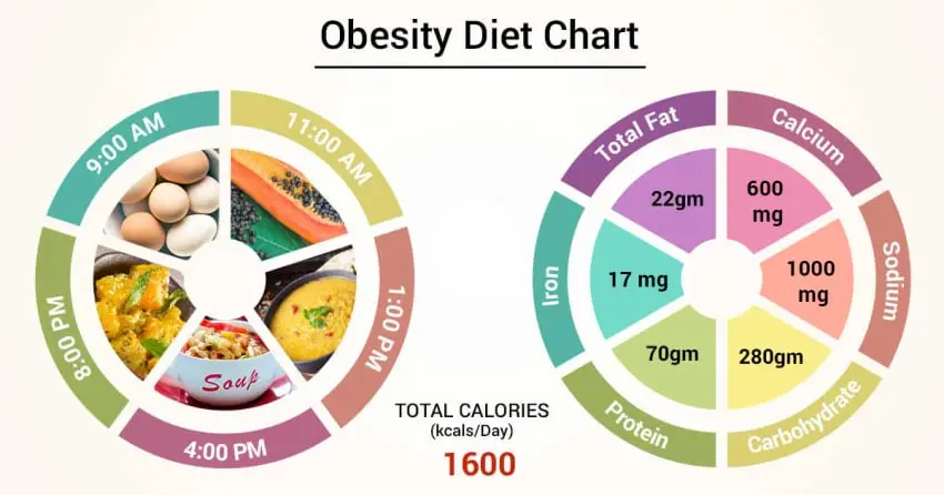 Diet for overweight: basic rules