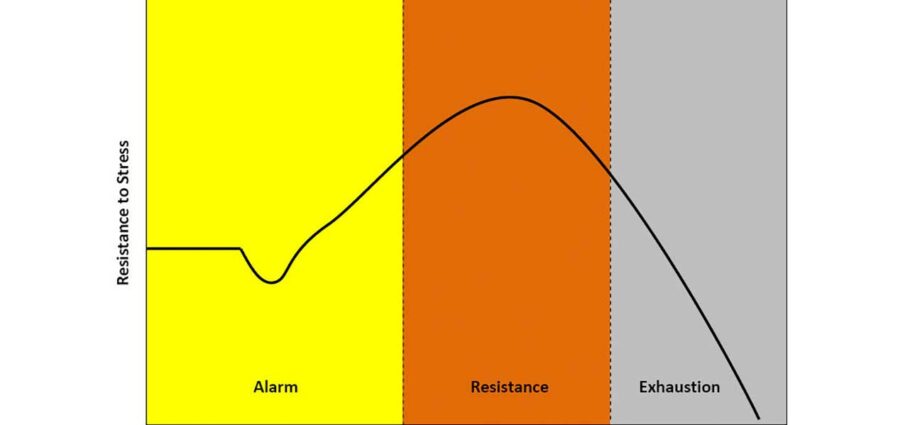 Different stages of stress and how they affect the body