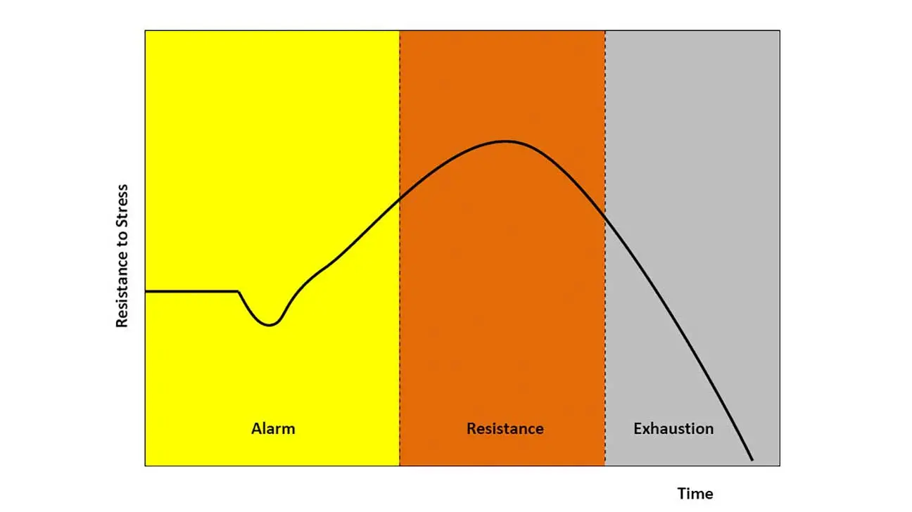 Different stages of stress and how they affect the body