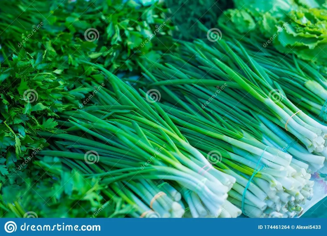 Dill, parsley, cilantro, green onions, salad: how to keep greens fresh