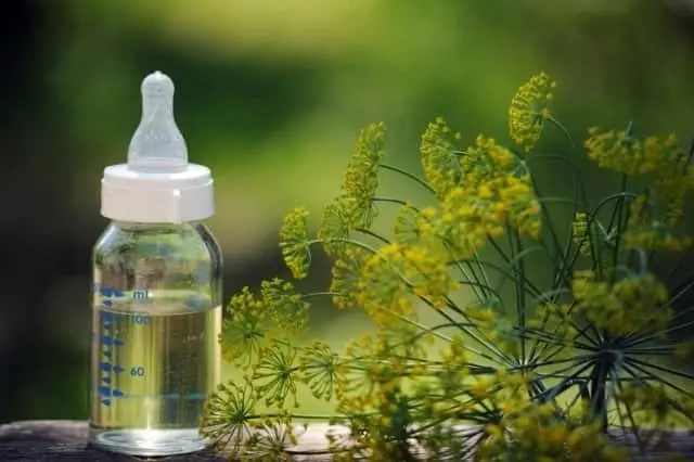 Dill water: how to prepare for a baby? Video