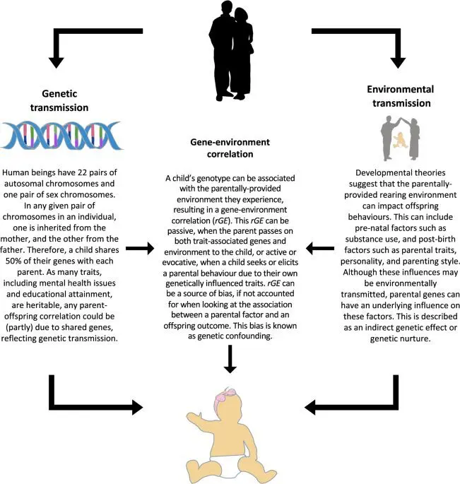 Do children need parents: both &#8211; father and mother, psychology