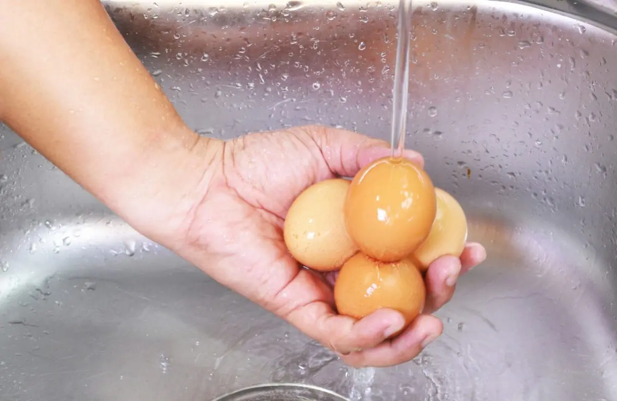 Do eggs need to be washed before boiling: an expert&#8217;s explanation