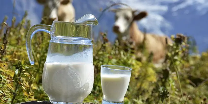 Doctors call milk an excellent anti-obesity remedy