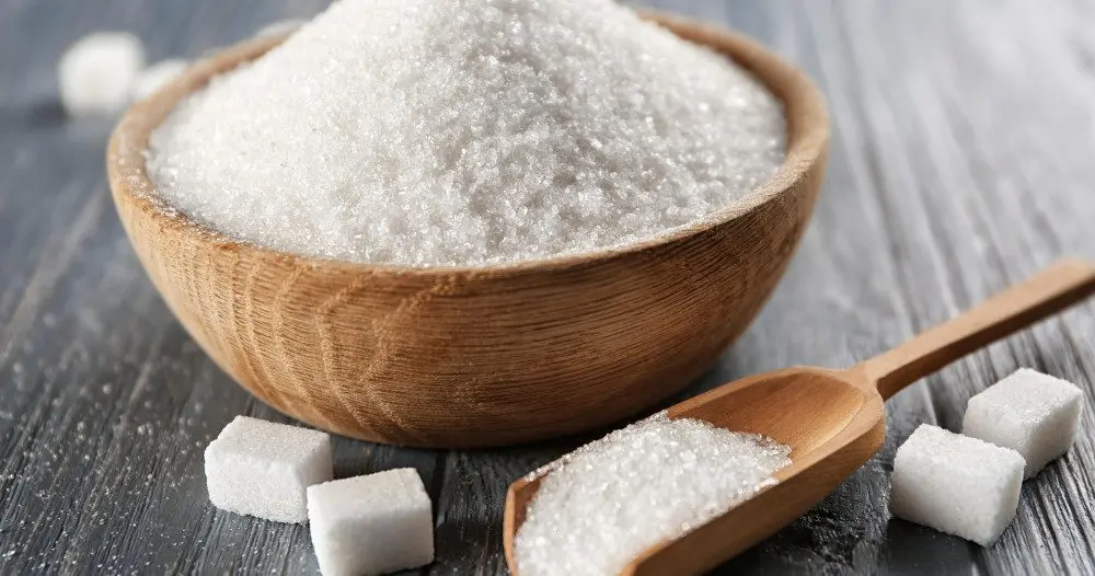 Does Sugar Cause Obesity?