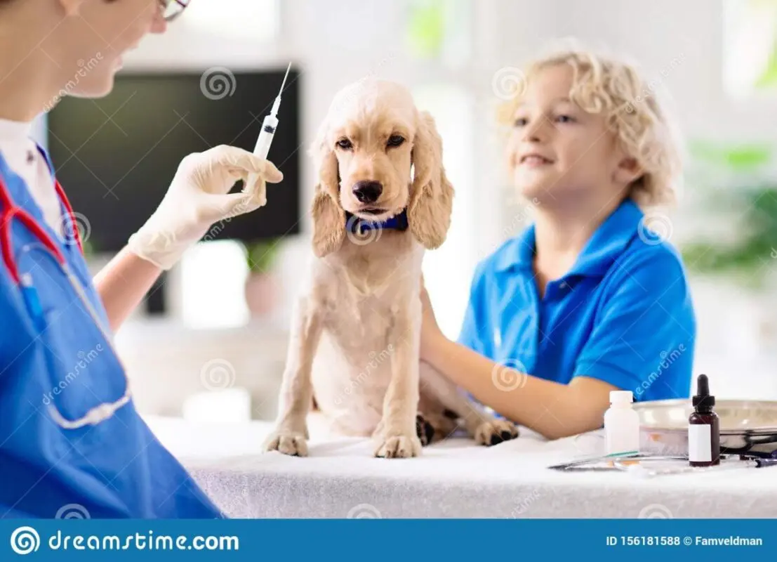 Dog in the clinic, is it possible to bring the dog to the hospital to the child