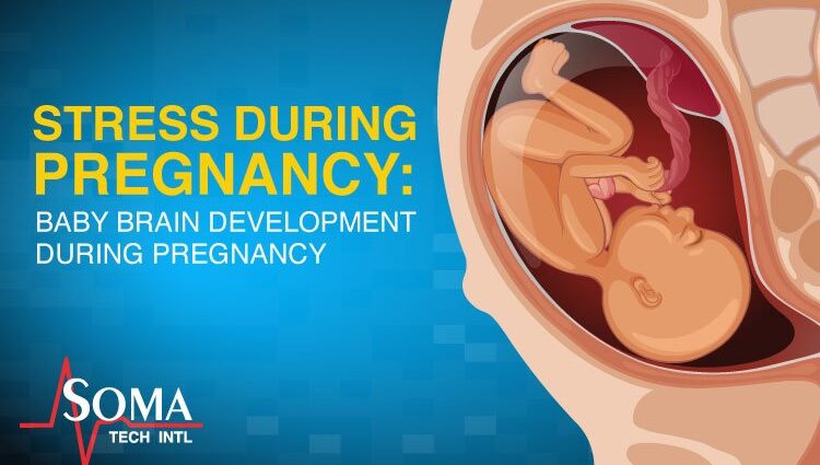 Don&#8217;t be nervous: how stress during pregnancy affects the fetus