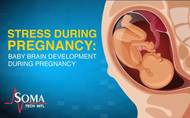 Don&#8217;t be nervous: how stress during pregnancy affects the fetus