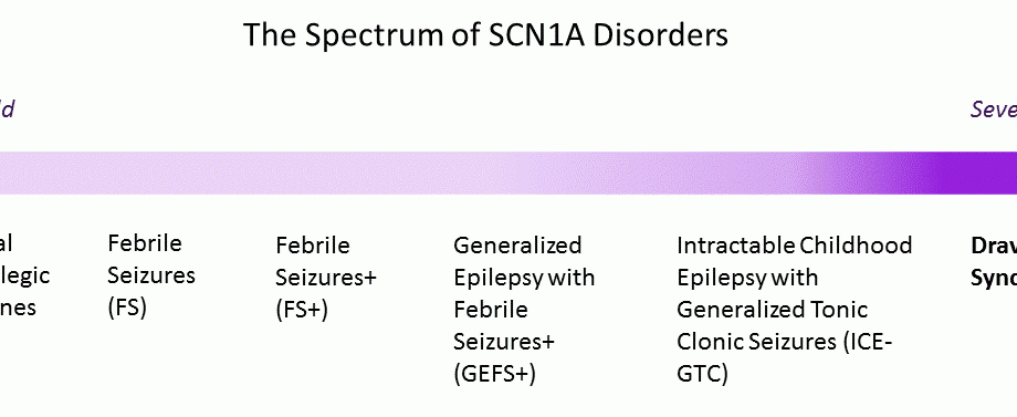 Dravet Syndrome