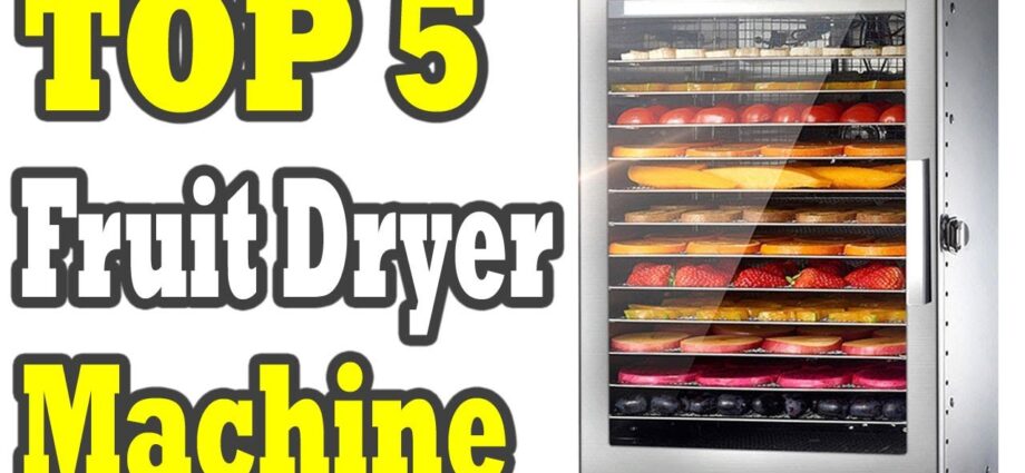 Dryers for vegetables and fruits: reviews. Video