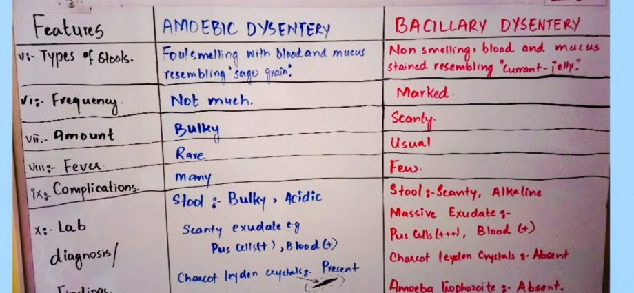 Dysentery: the difference between amoebic and bacillary diarrhea