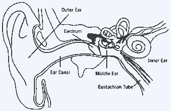 Ear thermometer: how does it work?