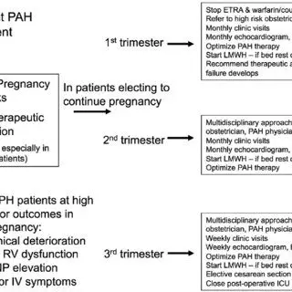 Early pregnancy: the risks and follow-up for the expectant mother