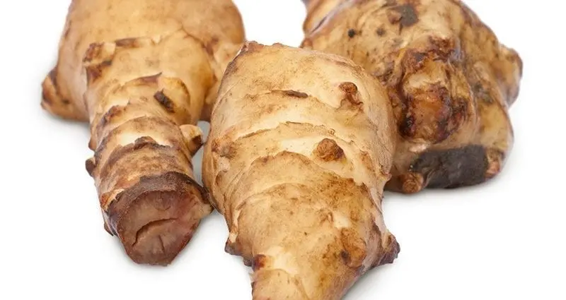 Earthen pear: useful properties of Jerusalem artichoke. Video