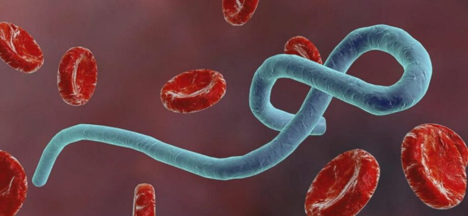 Ebola outbreak, the most dangerous viruses in the world