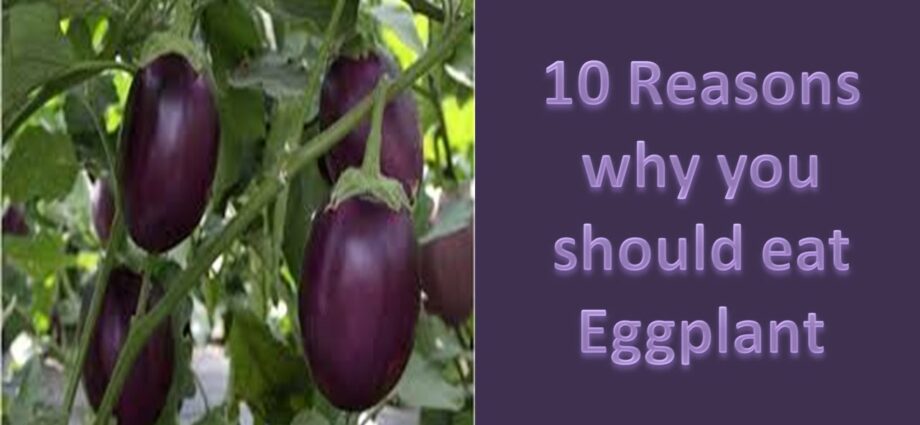 Eggplant &#8211; beneficial properties. Video