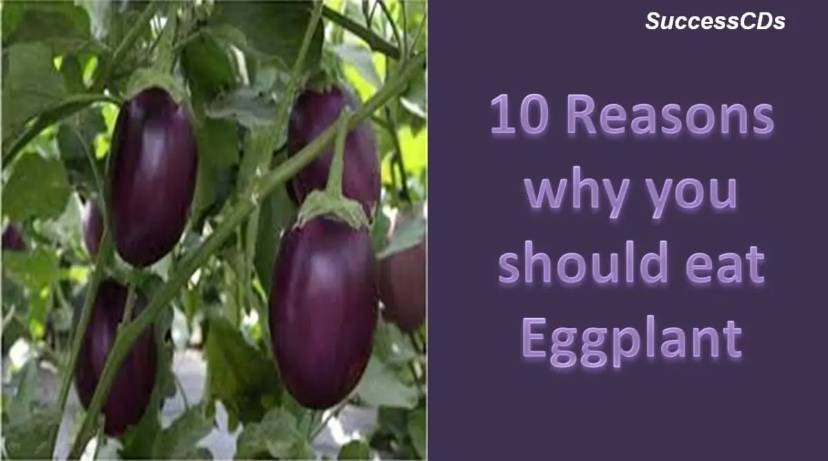 Useful properties of eggplant. Video