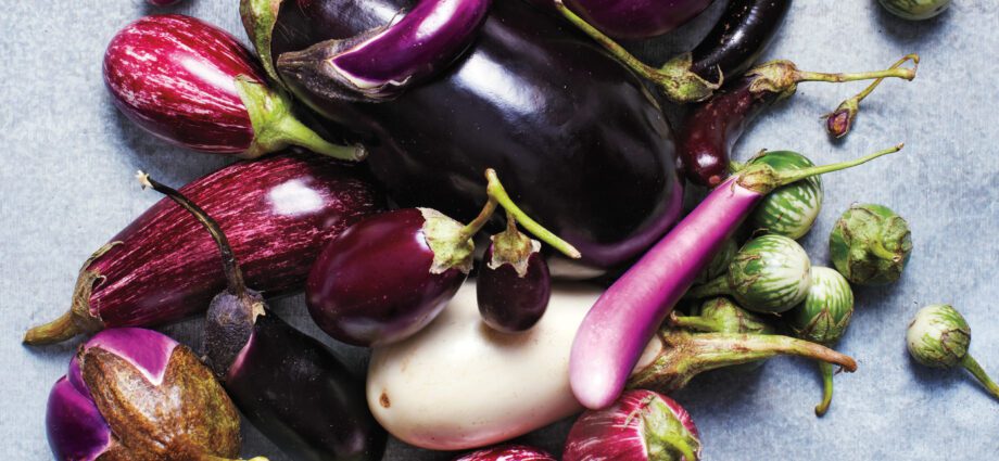 Eggplant varieties: description