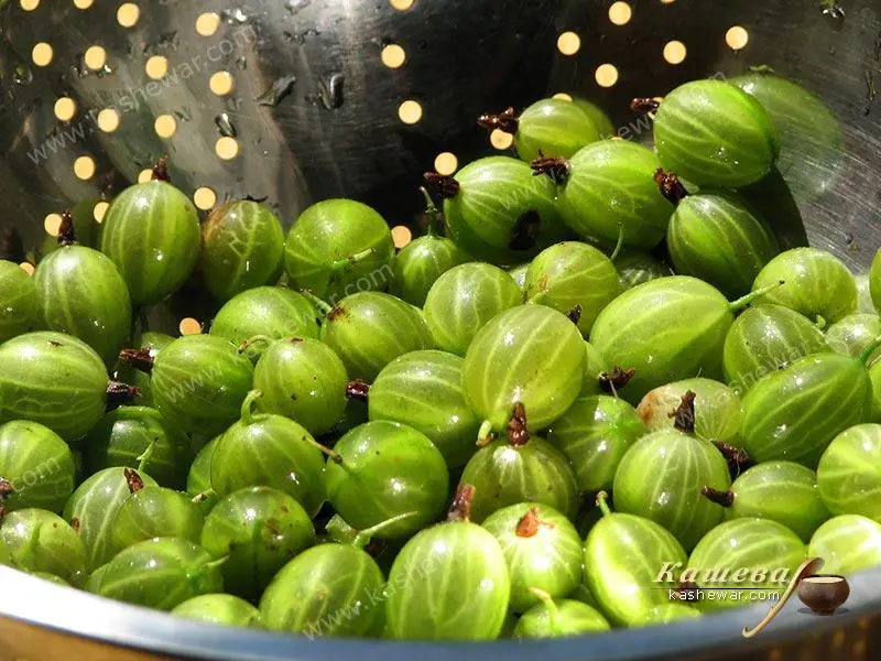 Emerald gooseberry: photo and description of the variety