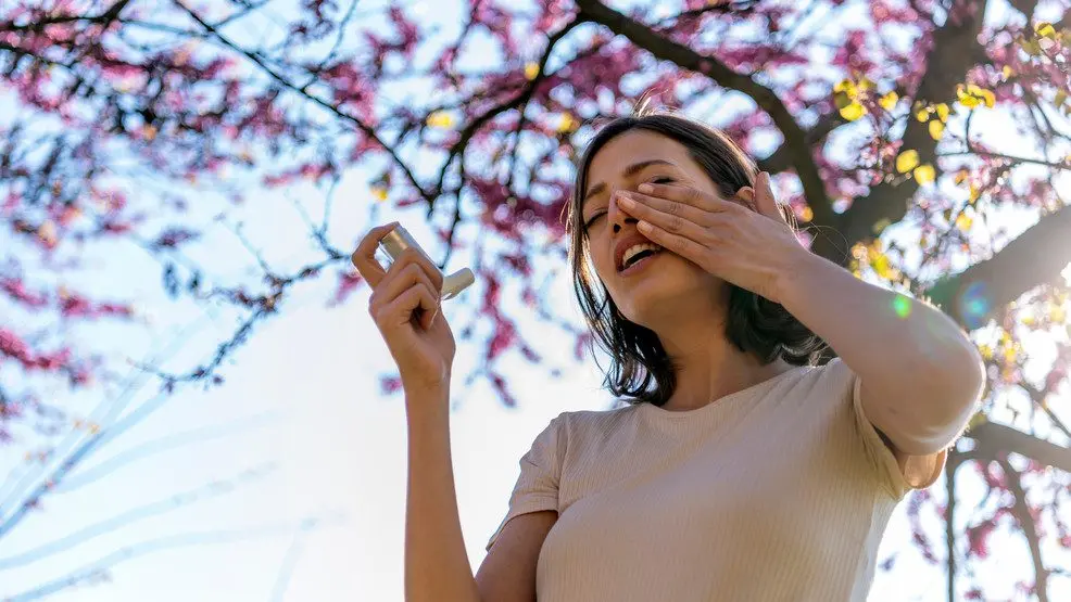 Enemies of allergy sufferers: how to protect yourself from allergens at home