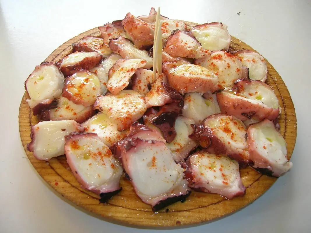 Enjoy the typical gastronomy of Galicia