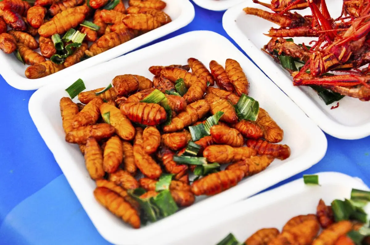 Entomophagy: the new foodie trend?