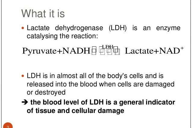 מבחן אנזים: פרשנות LDH גבוהה או נמוכה