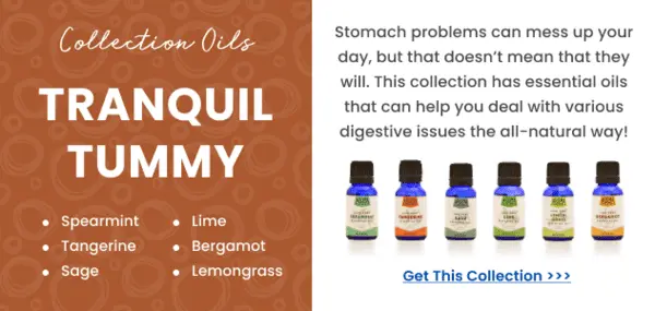 Essential oils against digestive problems