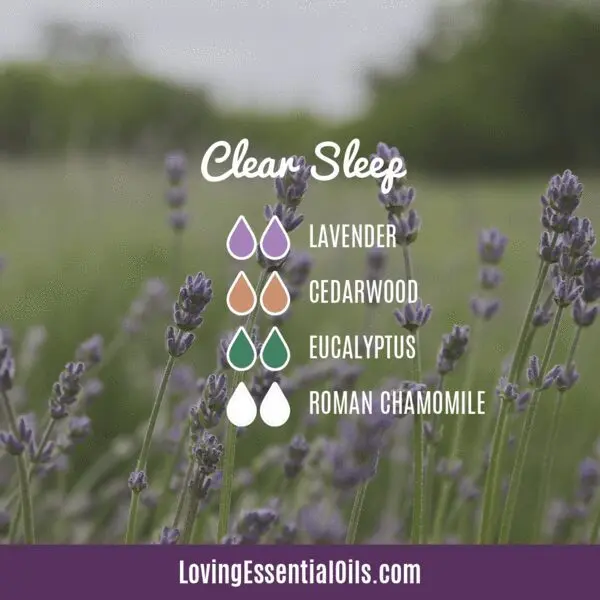 Essential oils of lavender and eucalyptus for your relaxation