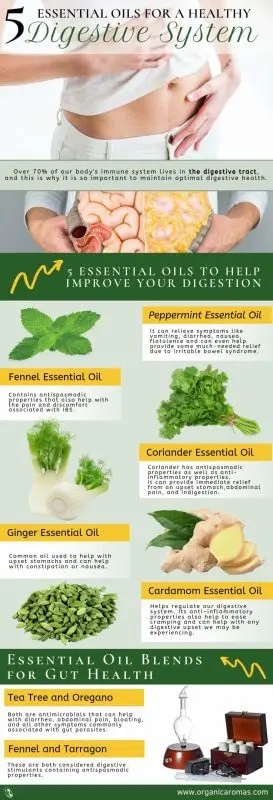 Essential oils to aid digestion