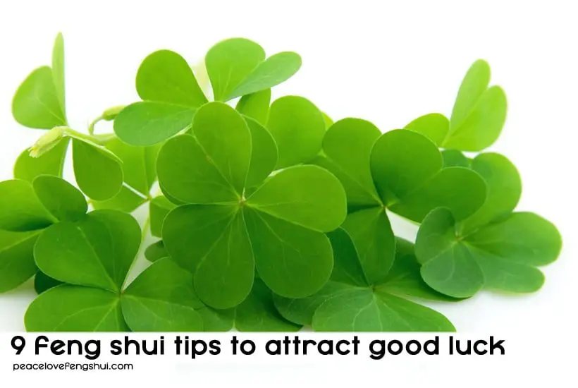 Everything according to Feng Shui: how to attract wealth, love, health and good luck to your home