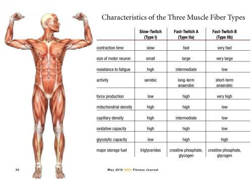 Everything you need to know about muscle cramps: types and prevention