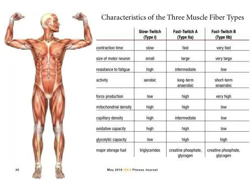 Everything you need to know about muscle cramps: types and prevention