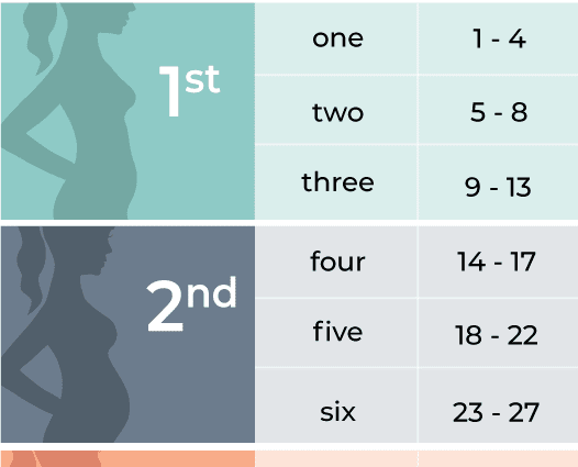 Exact calculation of pregnancy by week and day on your own: calendar ...