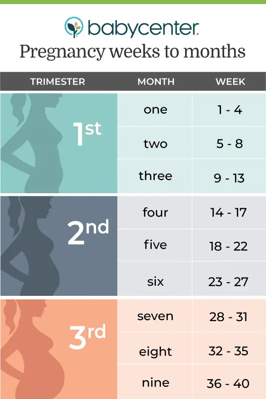 Exact calculation of pregnancy by week and day on your own: calendar, term