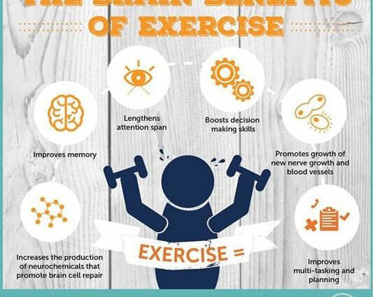 Exercise and sports improve brain function