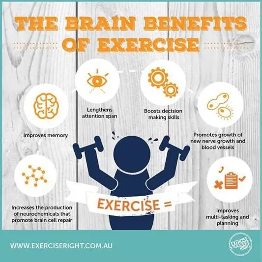 Exercise and sports improve brain function