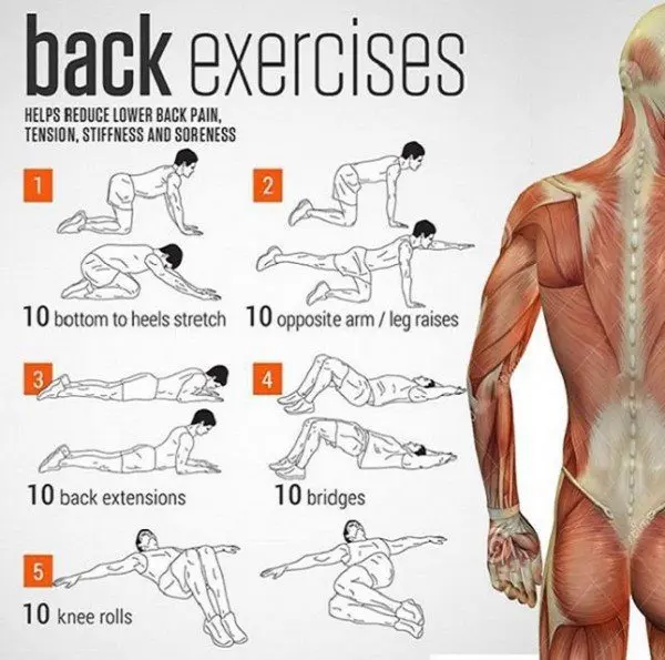 Exercises for a Healthy Back for 5 Minutes: Tips from a Fitness Trainer